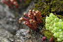 BUITEN BEELD Foto: 446804