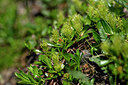 BUITEN BEELD Foto: 446805