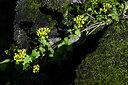 BUITEN BEELD Foto: 446810