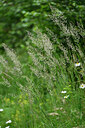 BUITEN BEELD Foto: 446812