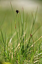 BUITEN BEELD Foto: 446820