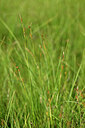 BUITEN BEELD Foto: 446823