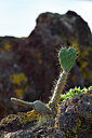 BUITEN BEELD Foto: 446824