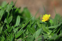 BUITEN BEELD Foto: 446825