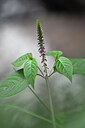 BUITEN BEELD Foto: 446833