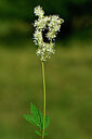 BUITEN BEELD Foto: 446834