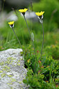 BUITEN BEELD Foto: 446835