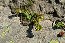 BUITEN BEELD Foto: 446844