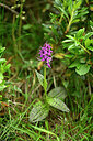 BUITEN BEELD Foto: 446850