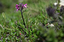 BUITEN BEELD Foto: 446854
