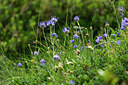 BUITEN BEELD Foto: 446855