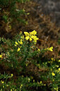 BUITEN BEELD Foto: 446856