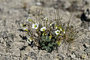 BUITEN BEELD Foto: 446857