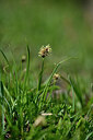 BUITEN BEELD Foto: 446860