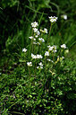 BUITEN BEELD Foto: 446867