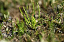 BUITEN BEELD Foto: 446870