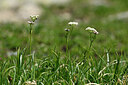 BUITEN BEELD Foto: 446871