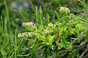 BUITEN BEELD Foto: 446877