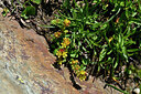 BUITEN BEELD Foto: 446879