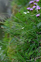 BUITEN BEELD Foto: 446881