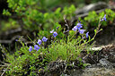 BUITEN BEELD Foto: 446883