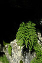 BUITEN BEELD Foto: 446884