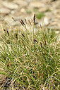 BUITEN BEELD Foto: 446886