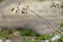 BUITEN BEELD Foto: 446888