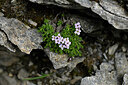 BUITEN BEELD Foto: 446889