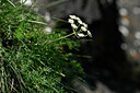 BUITEN BEELD Foto: 446898