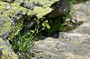 BUITEN BEELD Foto: 446899