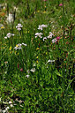 BUITEN BEELD Foto: 446900