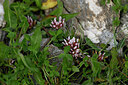 BUITEN BEELD Foto: 446901