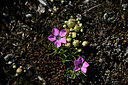 BUITEN BEELD Foto: 446905