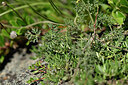 BUITEN BEELD Foto: 446906