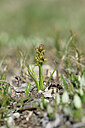 BUITEN BEELD Foto: 446907