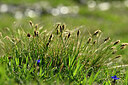 BUITEN BEELD Foto: 446909