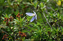 BUITEN BEELD Foto: 446910