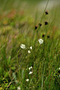 BUITEN BEELD Foto: 446911