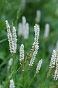BUITEN BEELD Foto: 446914