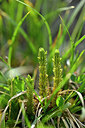 BUITEN BEELD Foto: 446916