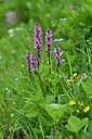 BUITEN BEELD Foto: 446917