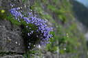 BUITEN BEELD Foto: 446918