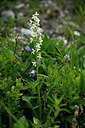 BUITEN BEELD Foto: 446919