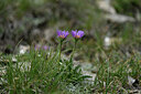 BUITEN BEELD Foto: 446920