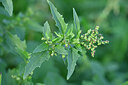 BUITEN BEELD Foto: 446922