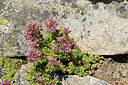 BUITEN BEELD Foto: 446932