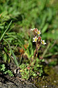BUITEN BEELD Foto: 446934