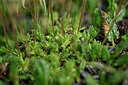 BUITEN BEELD Foto: 446936