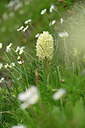 BUITEN BEELD Foto: 446937